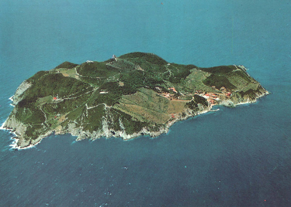 Isola di Gorgona